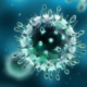 evidenza-coronavirus